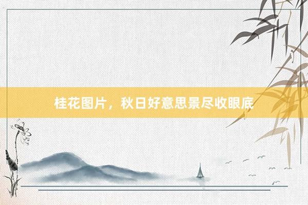 桂花图片，秋日好意思景尽收眼底